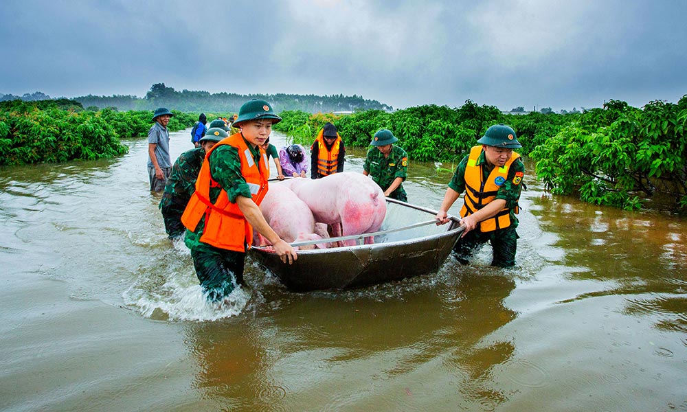 Giúp dân chuyển tài sản vượt lũ